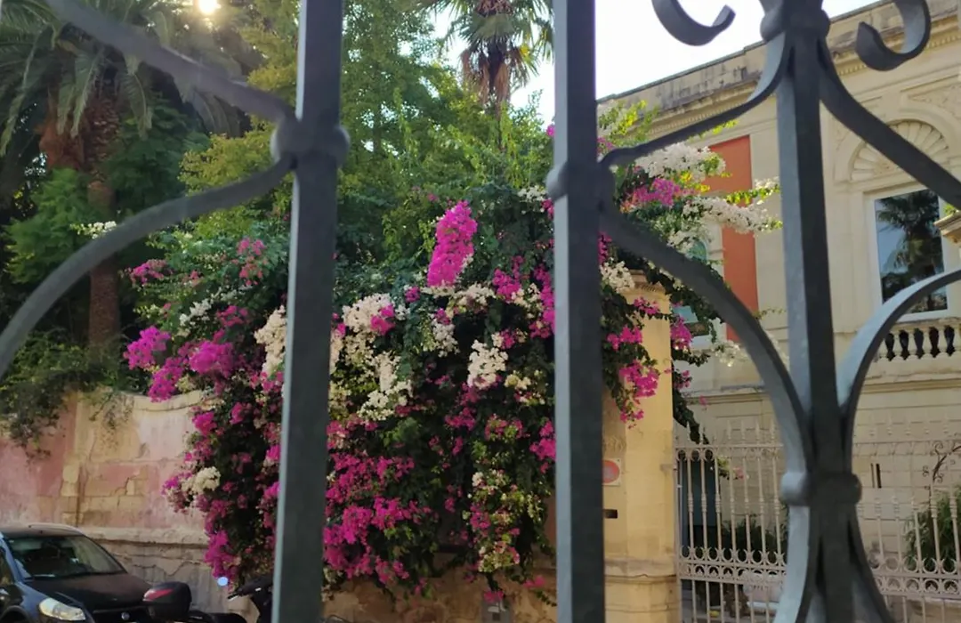 Vico sferracavalli-1
